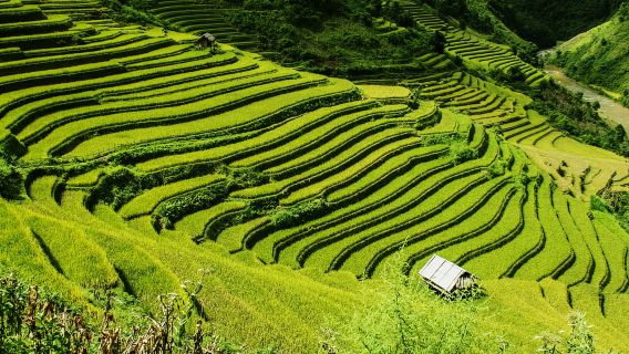 Guilin Longji Terraces Private Day Tour