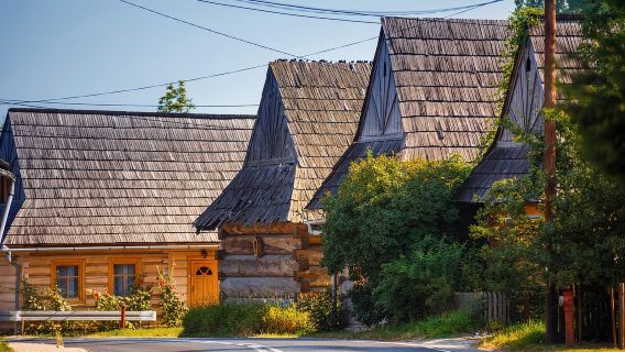 Krakow: Chuyến đi chung đến Zakopane và Suối nước nóng