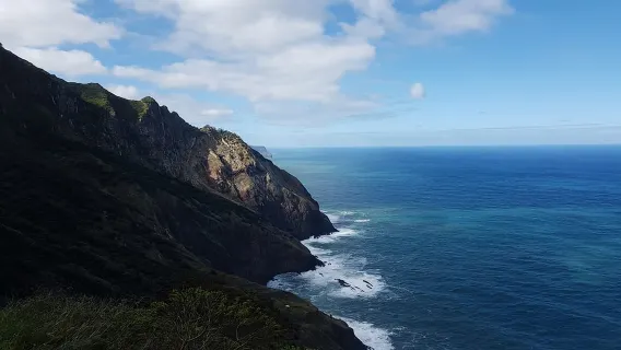 Madeira: Private Vereda do Larano Hike
