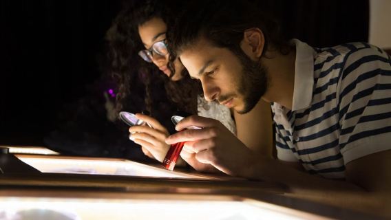 นาโปลี: ตั๋วเข้าชมพิพิธภัณฑ์ Museodivino และทัวร์พร้อมไกด์