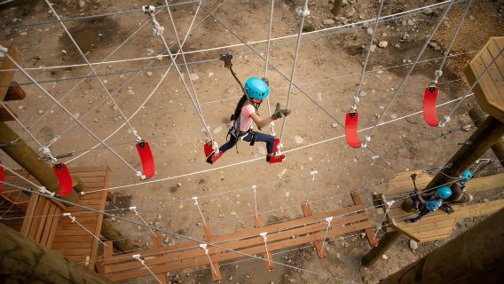 Idaho Springs: Vé tham gia khóa học Ropes Challenge