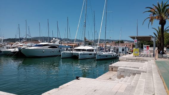 Da Palma: tour mattutino in barca di 3 ore per osservare i delfini