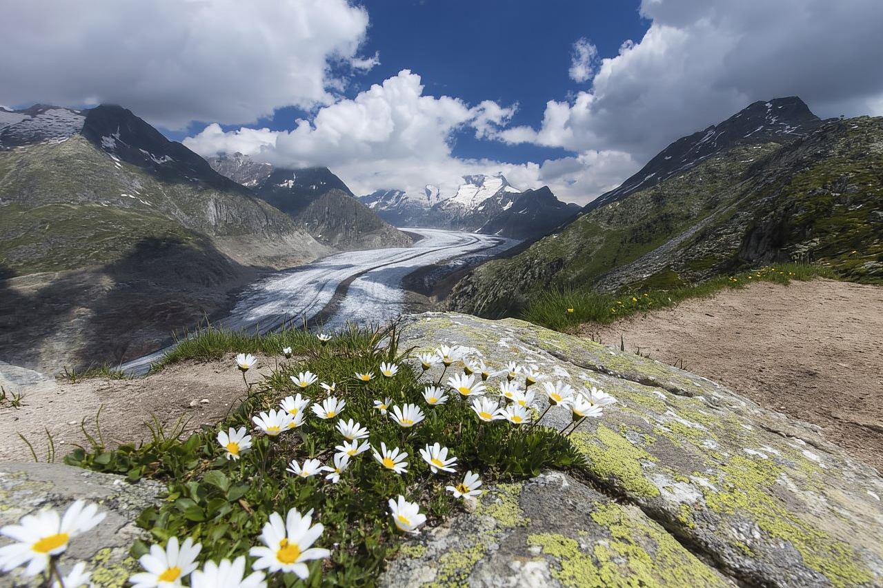 From Zurich: Jungfraujoch Guided Day Tour with Cogway Train