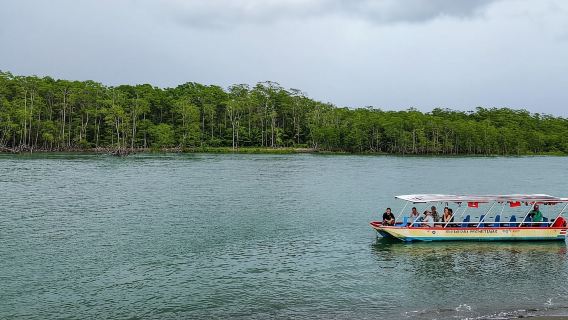 Paseo en barco por los manglares de Manuel Antonio