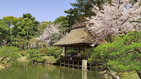 Hiroshima: History and Hidden Gems Tour