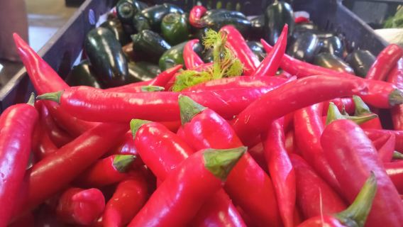 Ponta Delgada: Fat Dolphin Food Tours