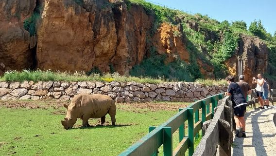 Dari Santander: Perjalanan Setengah Hari ke Taman Alam Cabarceno