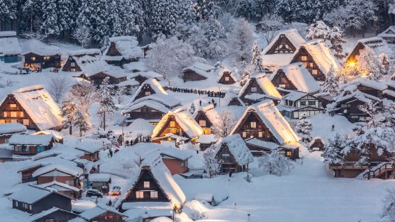 名古屋白川郷ワンデーツアー【限定ライトアップシーズン|9名様限定グループ・村内ライトアップ観賞+中国語ガイド】