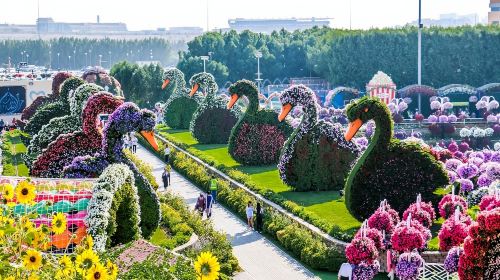 Miracle Garden and Global Village with Transfers - Ticket Day Tours 4