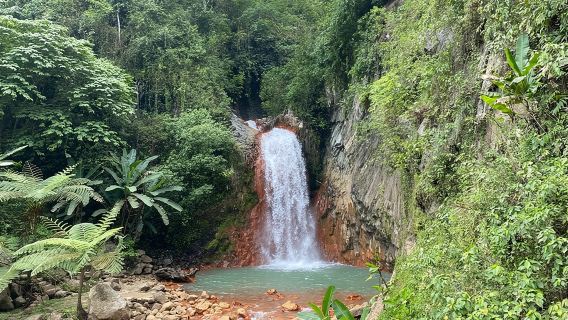 Dumaguete-Touren auf Englisch – Private, flexible Ganztagestouren