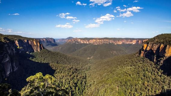 Sunset and Wildlife in the Blue Mountains without the crowds - Full-Day Tour