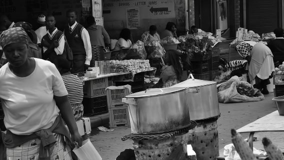 perjalanan satu hari yang komprehensif ke Museum Apartheid Soweto di Afrika Selatan