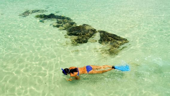 Maui South Shore Premier Kayak and Snorkel Tour from Makena Beach