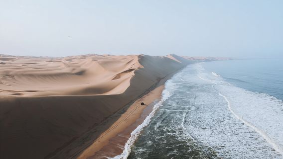 Mola Mola Marine Dune Experience