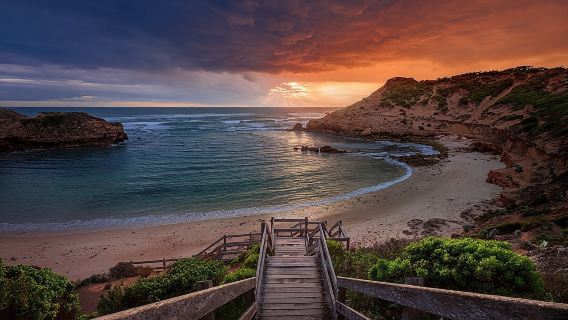 Bondi Beach日遊