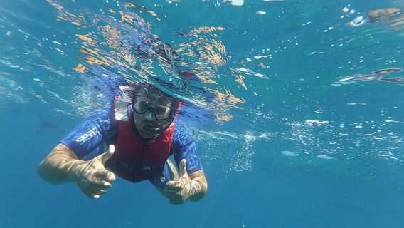 Tour di snorkeling nella baia delle razze