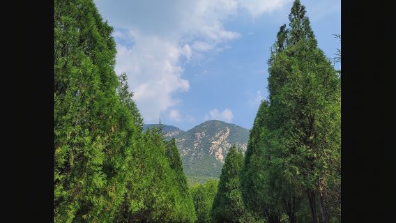 Songshan Mountain + Songshan Scenic Area + Junji Peak + Shaolin Temple + Sanhuangzhai / Multilingual guide@