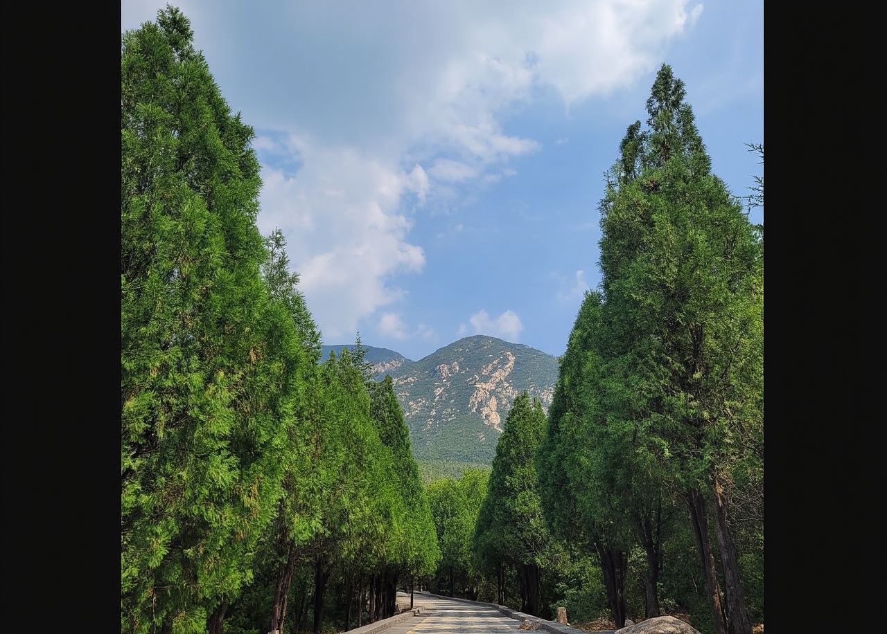 Monte Songshan + Area panoramica del Monte Songshan + Picco Junji + Tempio Shaolin + Santuario Sanhuang/Guida multilingue