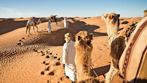 ทัวร์ซาฟารีทะเลทรายส่วนตัวสุดพิเศษในดูไบ พร้อมอาหารค่ำแบบบาร์บีคิว