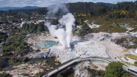 Waitomo & Rotorua 1-day tour with Te Puia Maori Village from Auckland