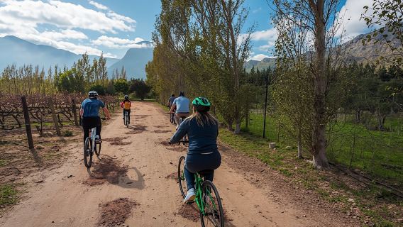 Franschhoek Winelands 7 hour Private E-Bike Tour with Lunch