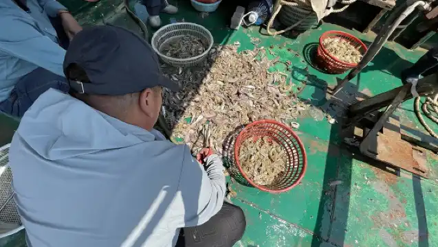 天津包船出海捕魚+海上觀光+免費加工+品嚐海鮮+海上聚會（餐廳、空調、廁所、拖網、卡拉OK、船上可燒烤）