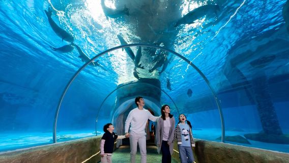Hong Kong Ocean Park Transfers [Hong Kong Airport/West Kowloon/Kowloon/Tsim Sha Tsui/Causeway Bay/Tsuen Wan/Hong Kong Disneyland/Ocean Park car]