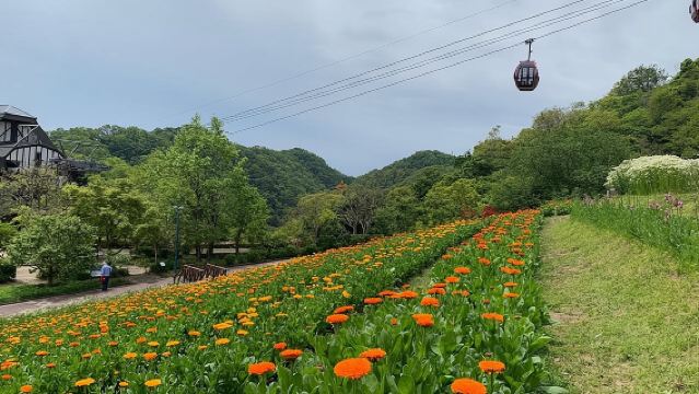 Excursión en grupo privado a Kōbe desde Osaka (Excursión en tierra disponible desde el puerto de Osaka o Kōbe)