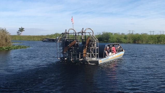 ทัวร์เรือแอร์โบ้ตเอเวอร์เกลดส์จากฟอร์ตลอเดอร์เดล พร้อมบริการรถรับส่ง