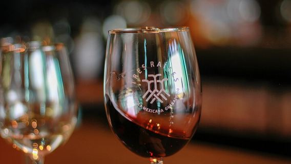 Lawatan Pengujian Ladang Anggur dan Wain Persendirian Dari Guanajuato