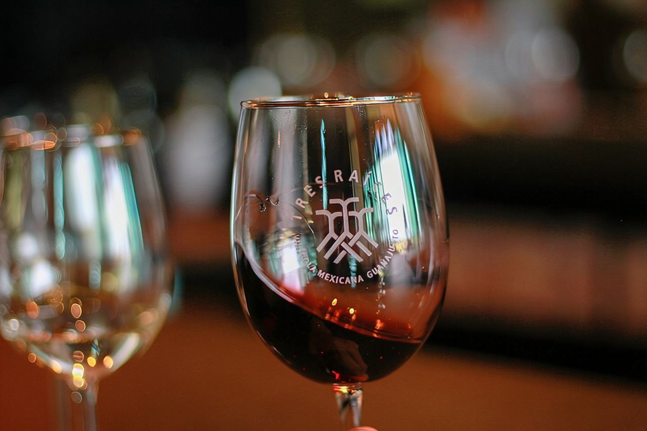 Private Vineyard and Wine Testing Tour From Guanajuato