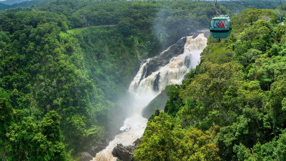 tour di un giorno nella foresta pluviale di Cairns Kuranda (cinese e inglese) con abbraccio ai koala trasferimento per aeroporto!