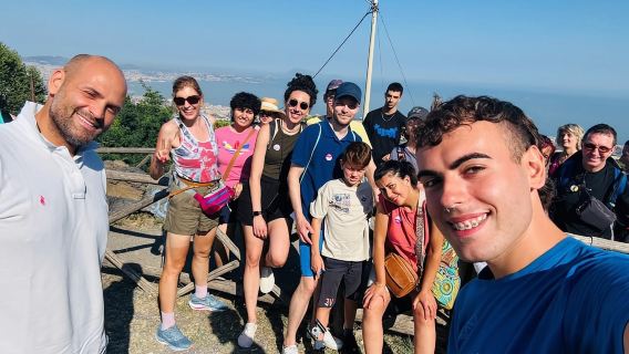 Salerno: gita di un giorno al Vesuvio e a Pompei con trasferimenti