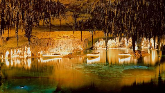 Mallorca: Half-day of Natural Wonders at the Drach Caves