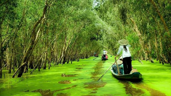 HCM/Chau Doc: Discover Tra Su & Dai Quan Sat Full Day Tour