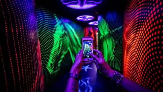 Wanaka: Combo Entry to Puzzling World