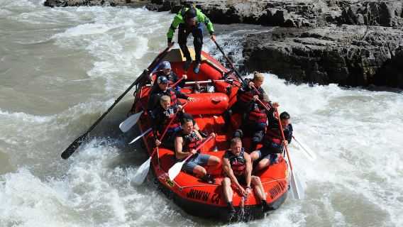 Jackson: Aventura de rafting en aguas bravas clase 2-3 en el río Snake