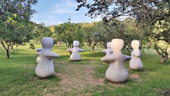 Alcudia: biglietto d'ingresso al Museo Sa Bassa Blanca