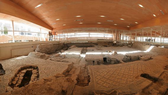 Rimini: Biglietto d'ingresso alla Domus del Chirurgo e al Museo della Città