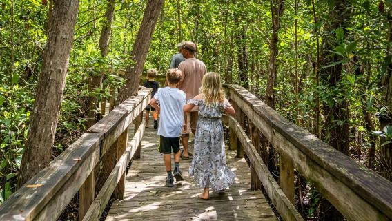 Everglades: Mangrove Maze Airboat Tour and Boardwalk