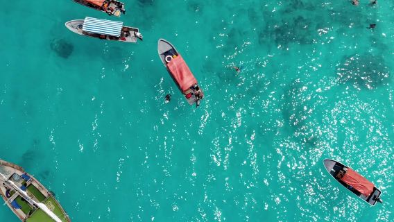 Zanzibar: Tour ngắm cá heo và lặn biển ở đảo Mnemba