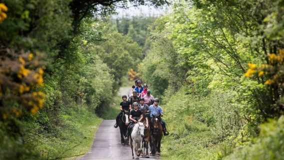 Menunggang kuda di laluan gunung. Clare. Dipandu, 2 jam