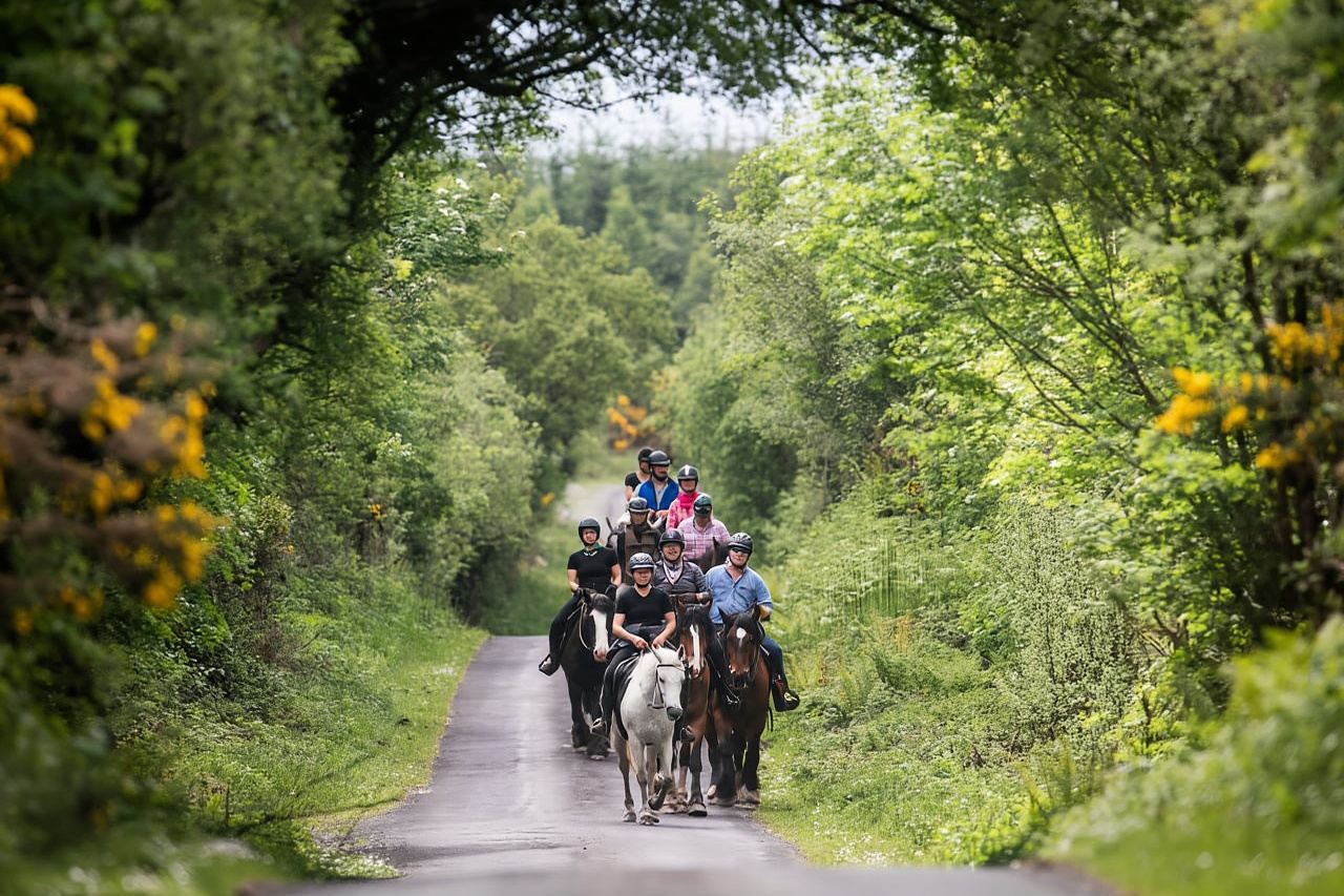 Reiten auf dem Bergpfad. Clare. Geführt, 2 Stunden