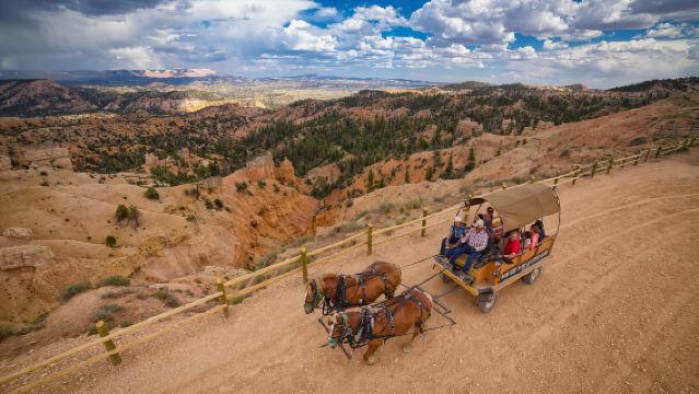 Bryce Canyon City: Giro in Carrozza fino al Bordo del Bryce Canyon
