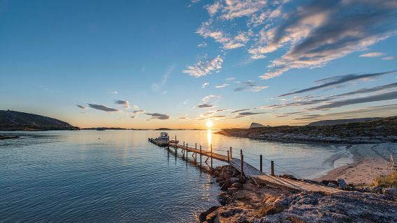 Tromsø: Tur Kelompok Kecil Kvaløya & Sommarøy Fjord dengan Makan Siang