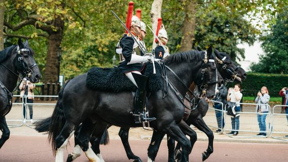 London: Changing of The Guard Tour