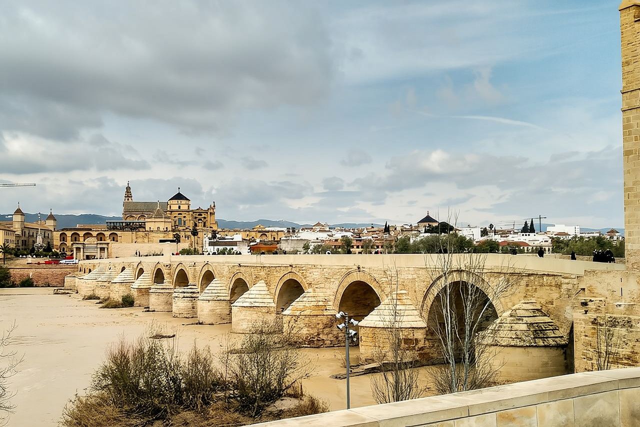 Private tour to Córdoba from Seville (several options)