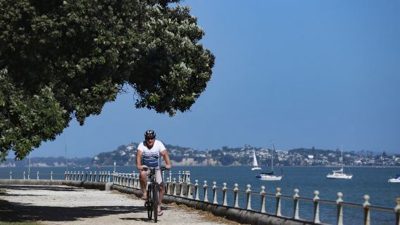 新西蘭奧克蘭 維多利亞山-德文港 可定制南北島包車