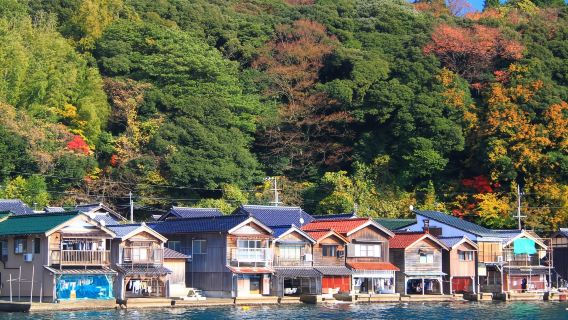 京都天橋立觀景地+智恩寺+伊根舟屋一日遊【中文導遊】