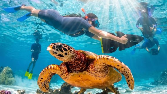 Snorkel con scooter acuático "Aventura en el arrecife de Moorea"